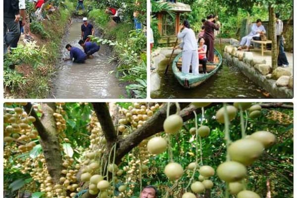 Vườn Trái Cây Cần Thơ